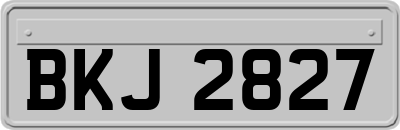BKJ2827