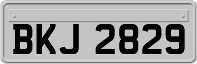 BKJ2829