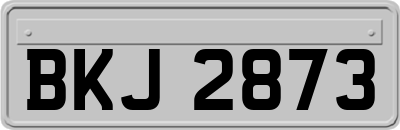 BKJ2873