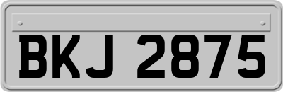 BKJ2875