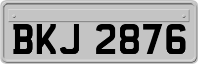 BKJ2876