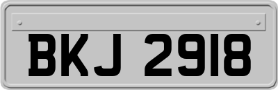 BKJ2918