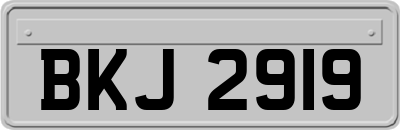BKJ2919