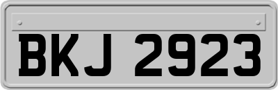 BKJ2923