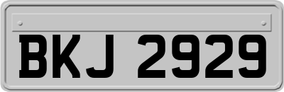 BKJ2929