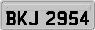 BKJ2954