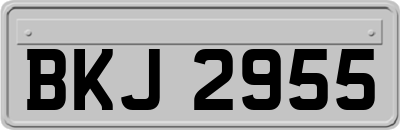 BKJ2955