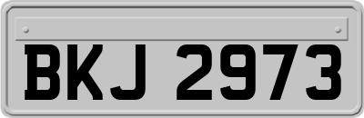 BKJ2973