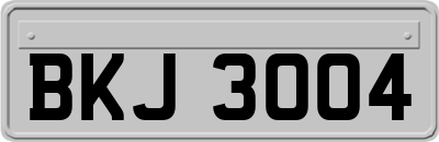 BKJ3004