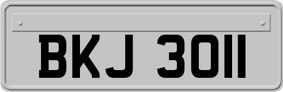BKJ3011