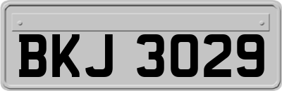 BKJ3029