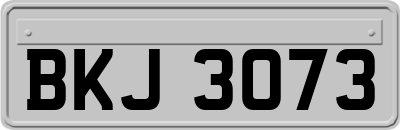 BKJ3073
