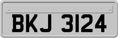 BKJ3124