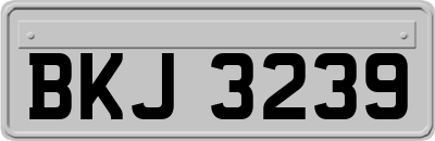 BKJ3239