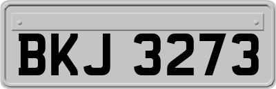 BKJ3273