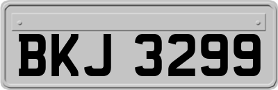 BKJ3299