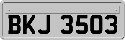 BKJ3503