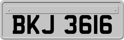 BKJ3616