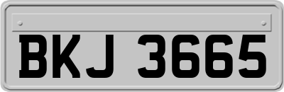 BKJ3665