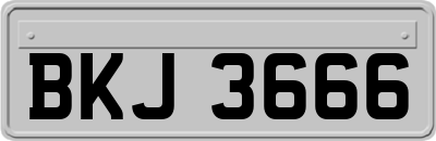 BKJ3666