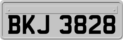 BKJ3828