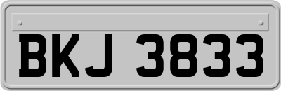BKJ3833
