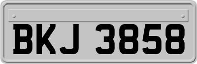 BKJ3858