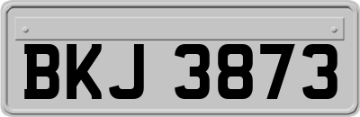 BKJ3873