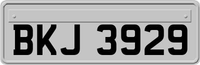 BKJ3929