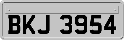 BKJ3954