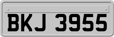BKJ3955