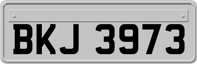 BKJ3973