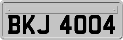 BKJ4004
