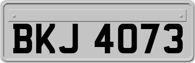 BKJ4073