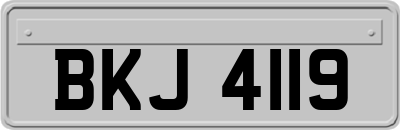 BKJ4119