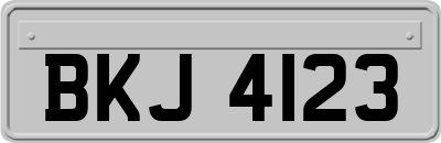 BKJ4123
