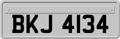 BKJ4134