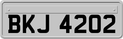 BKJ4202