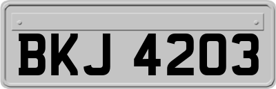 BKJ4203