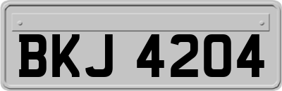 BKJ4204