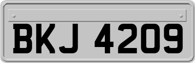 BKJ4209