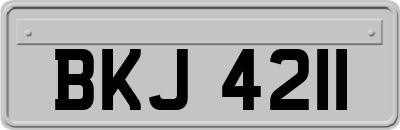 BKJ4211