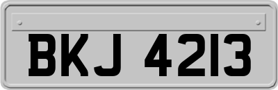 BKJ4213