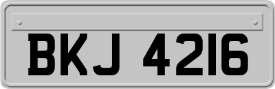 BKJ4216