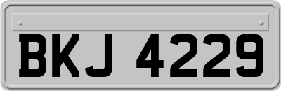 BKJ4229