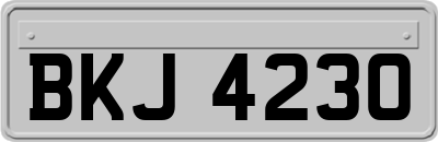BKJ4230