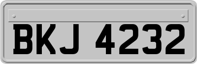 BKJ4232