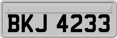 BKJ4233