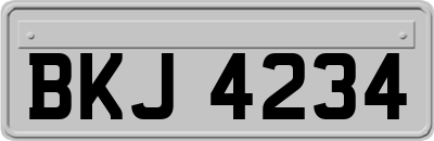 BKJ4234