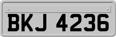 BKJ4236